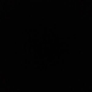 Meet your Posher, Janelle